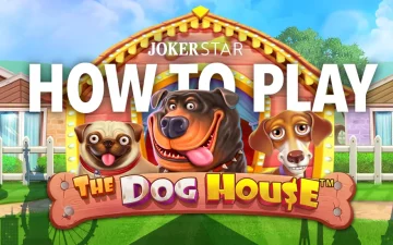 The Dog House - Spielanleitung